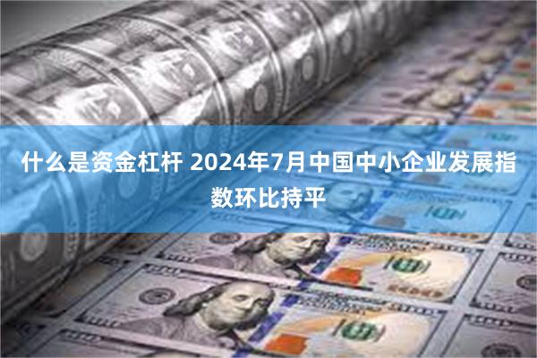 什么是资金杠杆 2024年7月中国中小企业发展指数环比持平