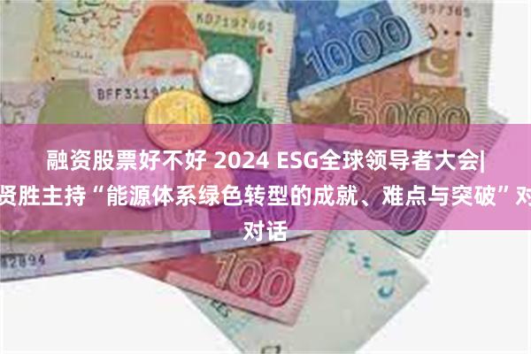 融资股票好不好 2024 ESG全球领导者大会|孙贤胜主持“能源体系绿色转型的成就、难点与突破”对话