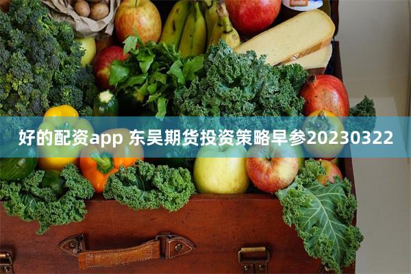 好的配资app 东吴期货投资策略早参20230322