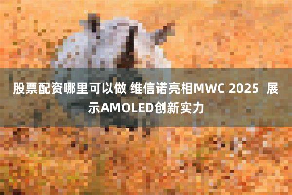 股票配资哪里可以做 维信诺亮相MWC 2025  展示AMOLED创新实力